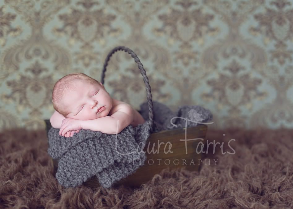 Idaho newborn photographers