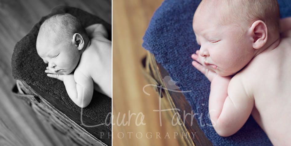 Idaho newborn photographers