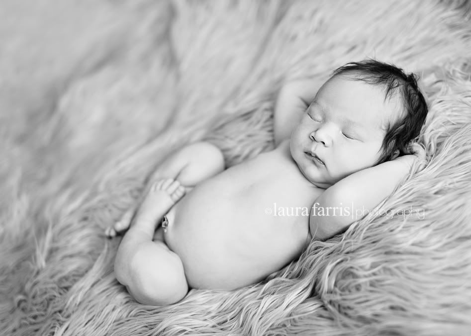 newborn photography idaho