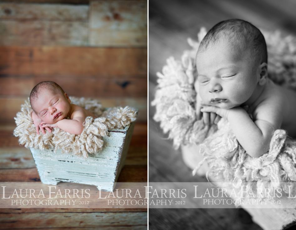 boise newborn baby photographers