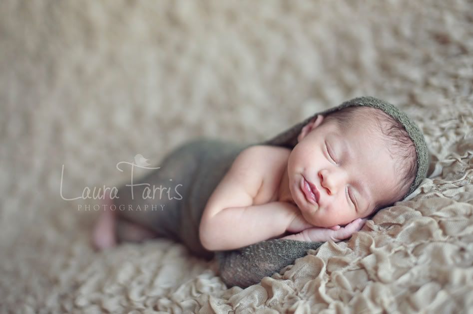idaho newborn photography