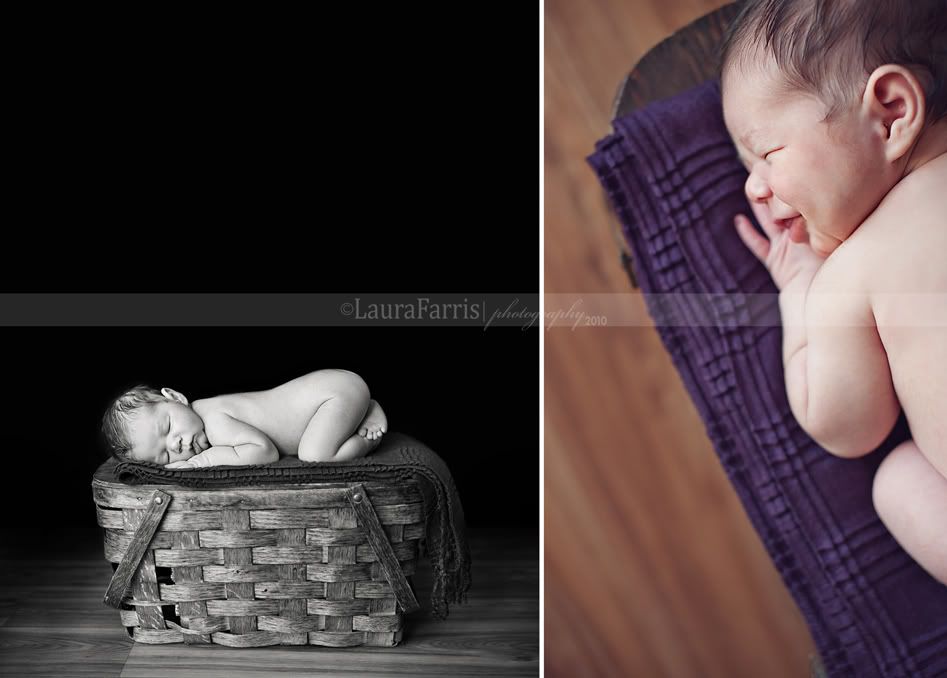newborn photography boise