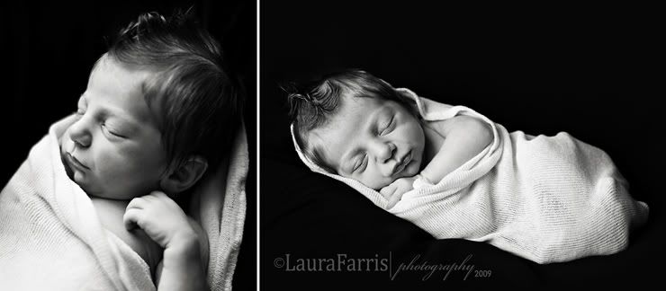 boise newborn photographer