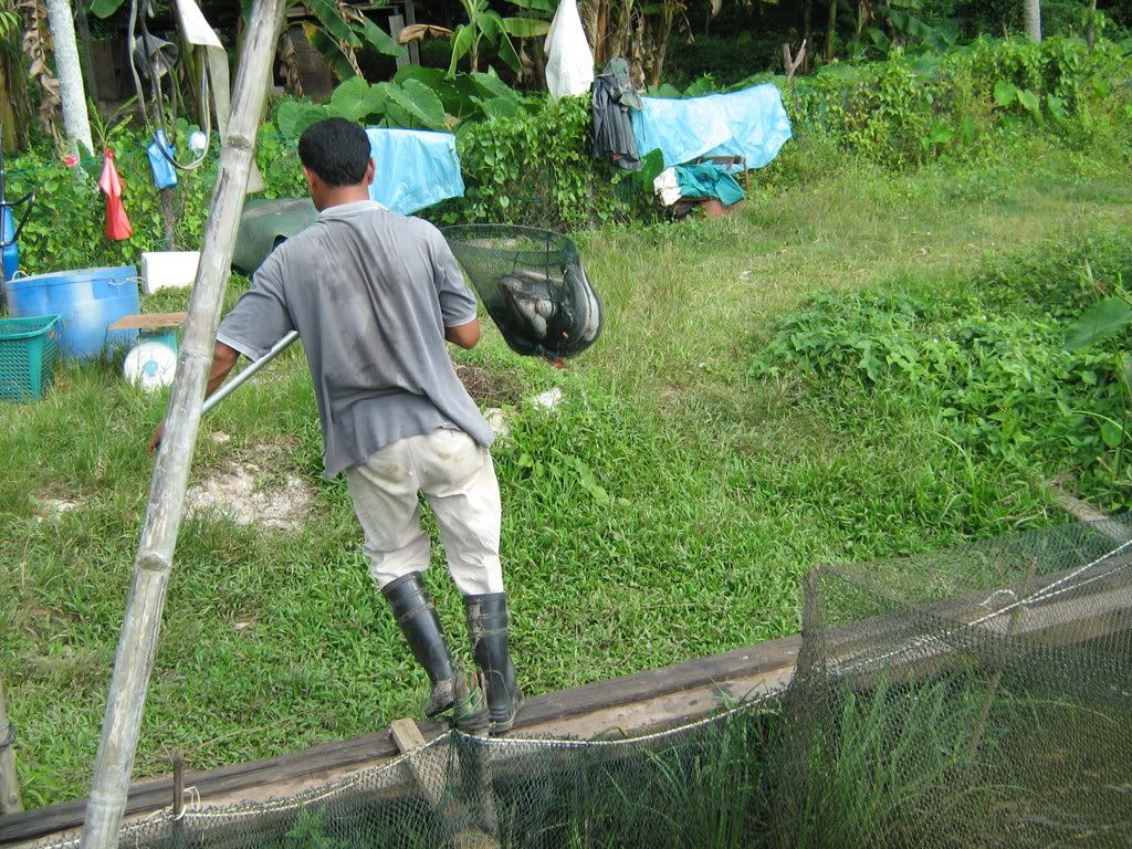 melakukan
