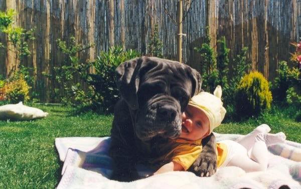 babydog.jpg dog and baby image by xCh0c0lAt3x