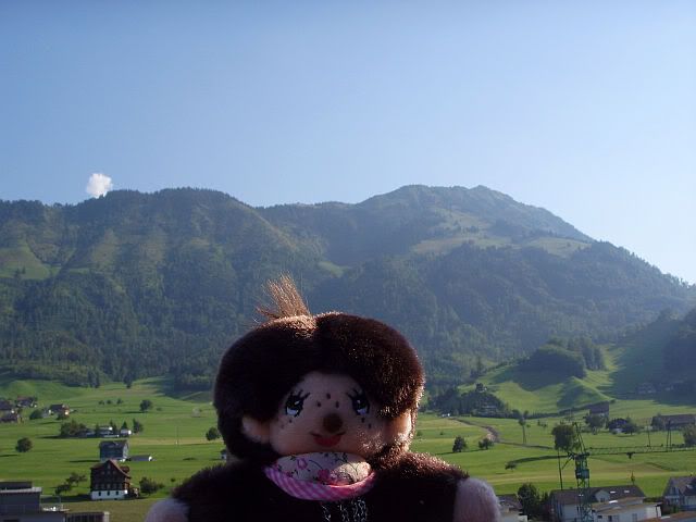 http://i305.photobucket.com/albums/nn233/Apperveilchen/Schweiz/SSL18380.jpg