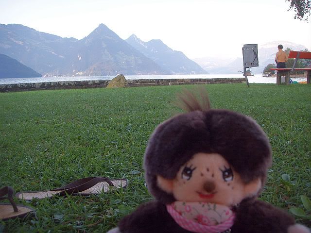http://i305.photobucket.com/albums/nn233/Apperveilchen/Schweiz/SSL18385.jpg