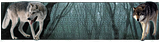 Wolvescopy.png image by Vampire_Wings_08
