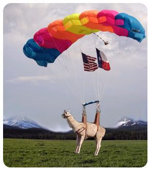 flying llama