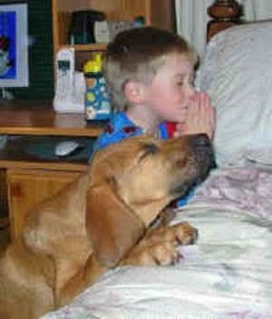 praying_kid_and_dog.jpg