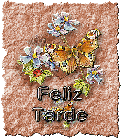 Feliz tarde