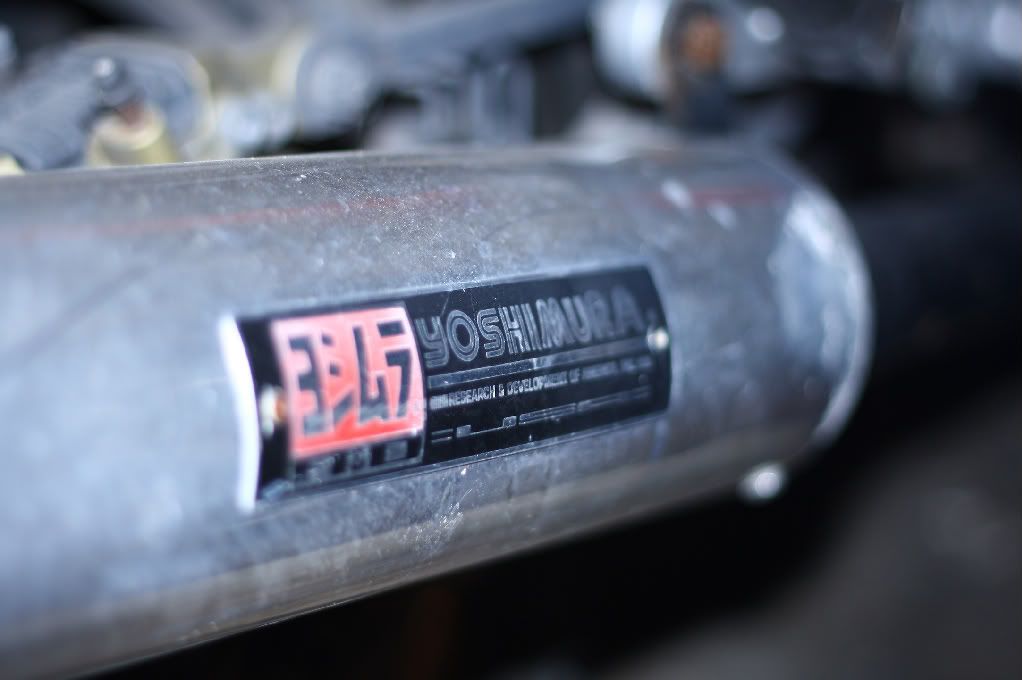 IMAGE: http://i305.photobucket.com/albums/nn234/Arstine/IMG_2048.jpg