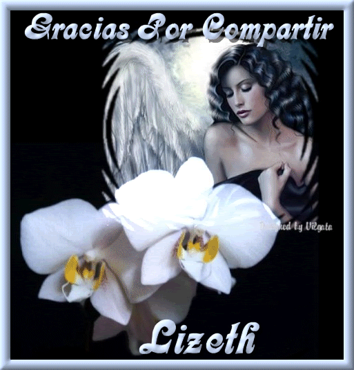 0GRACIASPORLIZETH.gif picture by MARTHALIZETH