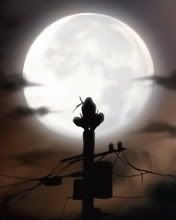 itachi-night Pictures, Images and Photos