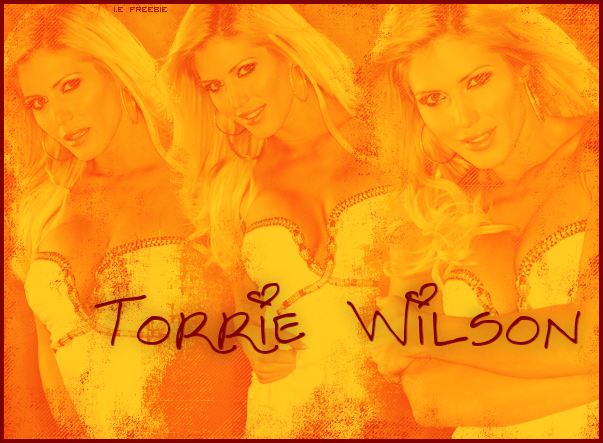 torrie.png picture by indecent-exposure