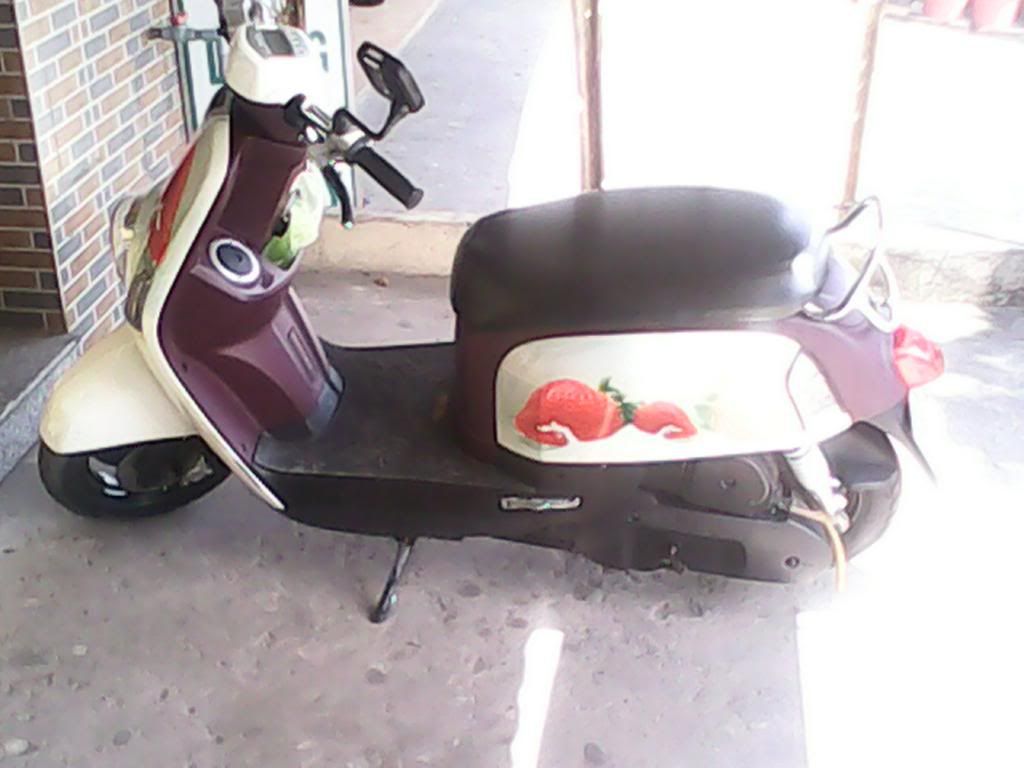 Cuxi 2010 Ra đi nhanh ngày hôm nay - 4