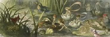Richard Doyle/water lillies and water fairy