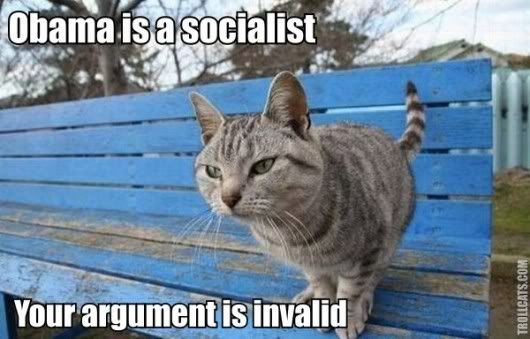obama_is_a_socialist_your_argument_is_invalid_trollcat-e1278883264483.jpg