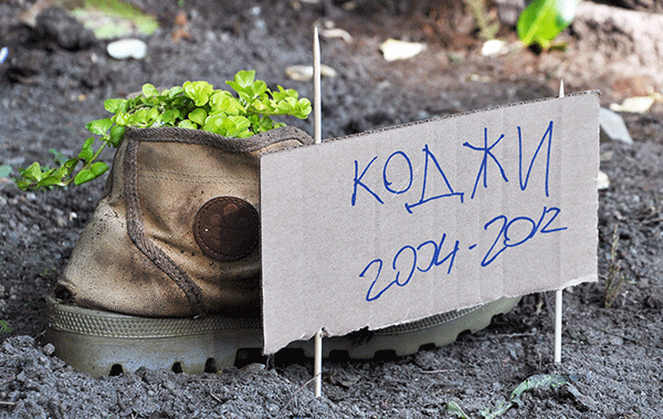Здравствуйте