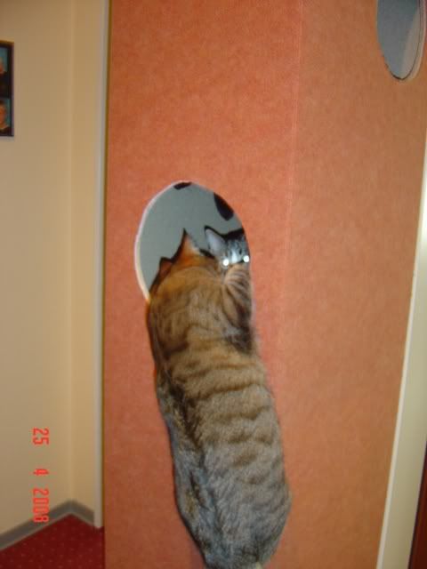DSC01756.jpg