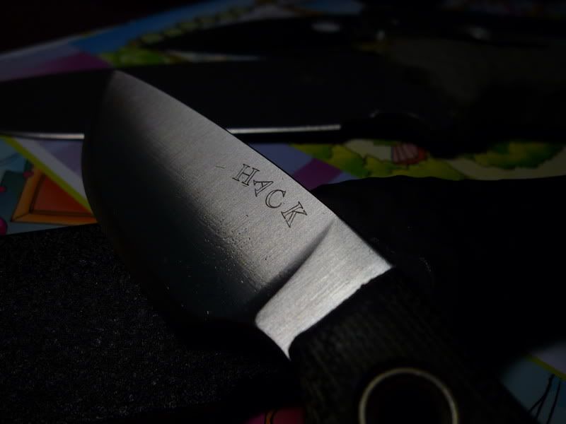 [Linked Image from i305.photobucket.com]