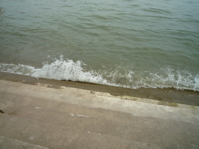 [Linked Image from i305.photobucket.com]