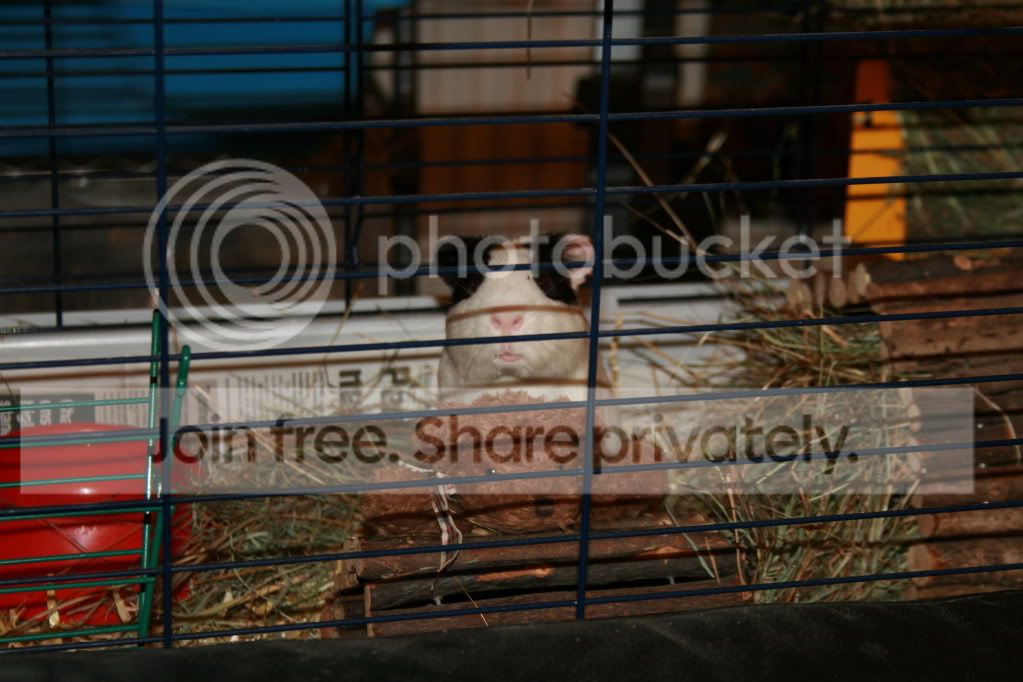 IMG_4499.jpg