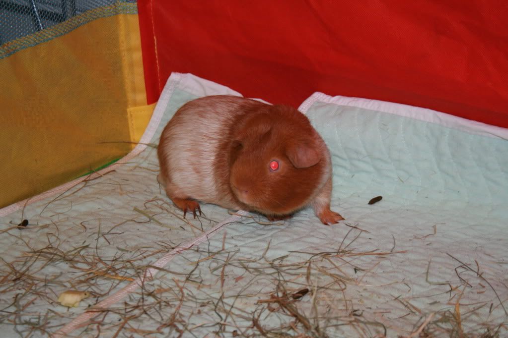 IMG_4653.jpg