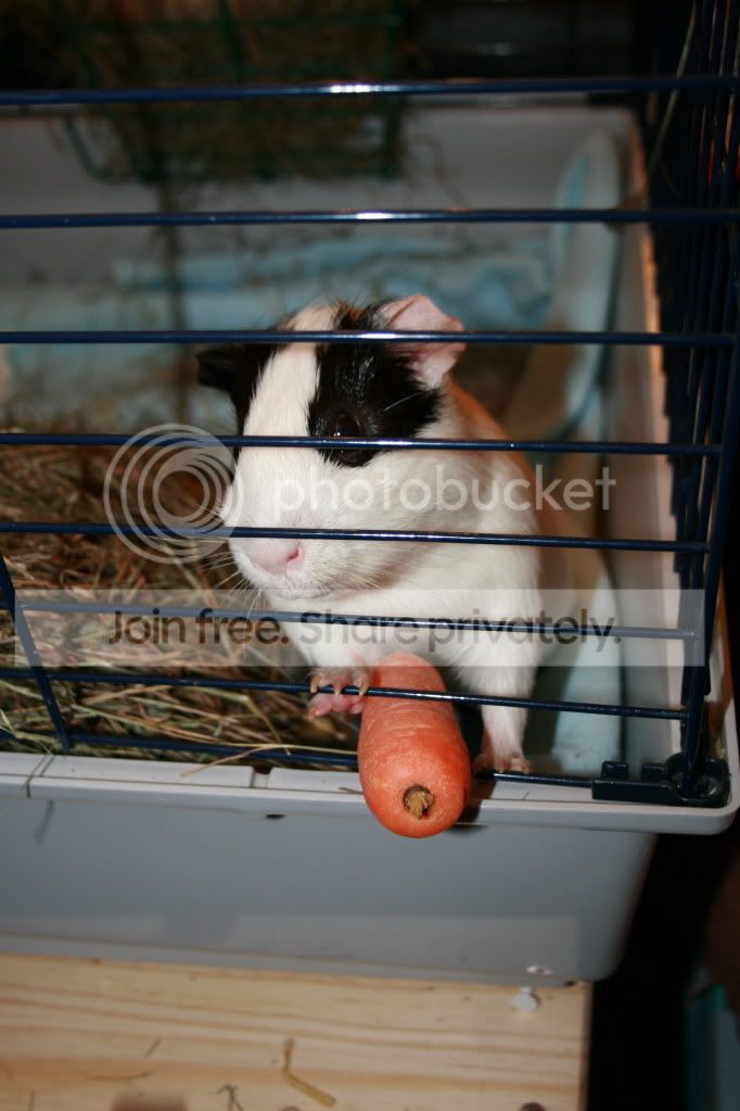 IMG_4702.jpg