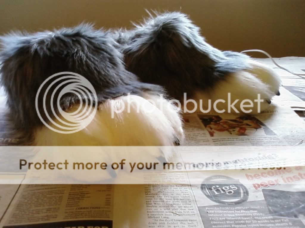 Bunny's footpaws before airbrushing