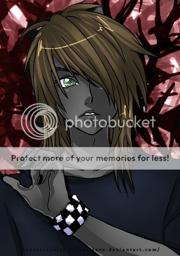 User Image