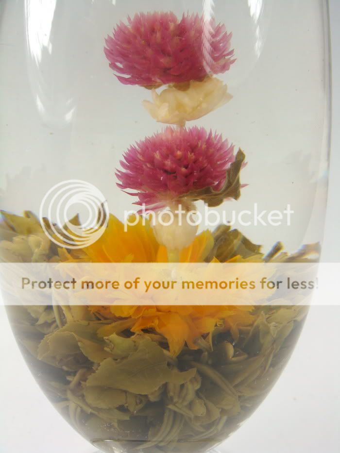 12 Blooming Flowering Flower Tea    Set C  