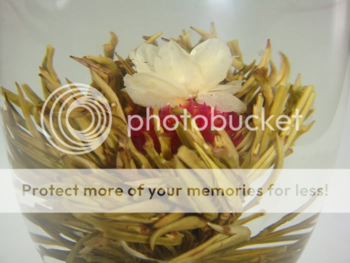 360 Blooming Flowering Flower Tea   