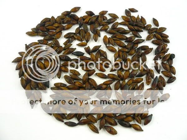   roasted barley tea is a tisane made from roasted barley which is