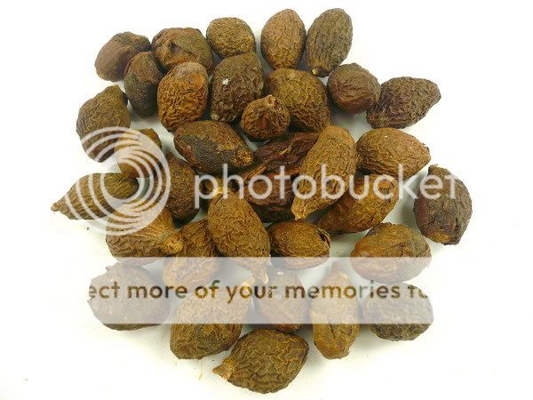 Pang Da Hai Boat fruited Scaphium Seed 500g 1.1 lb  