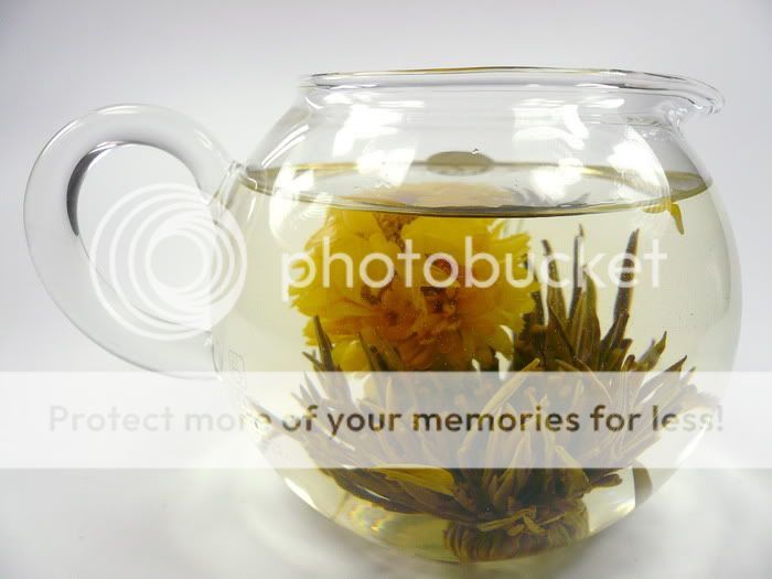 Glass Teapot + 6 Blooming Flowering Tea Gift Set  