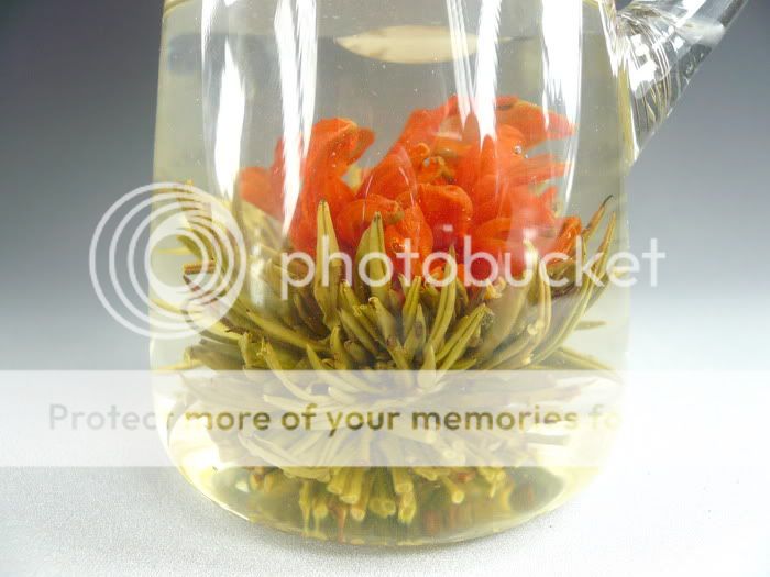 10 Blooming Flowering Flower Green Tea － Eve  