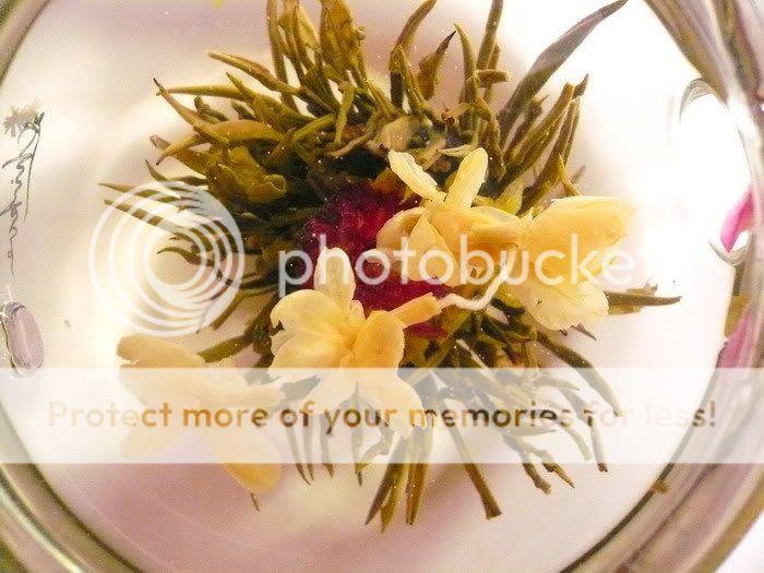 12 Blooming Flowering Flower Tea    Set B  