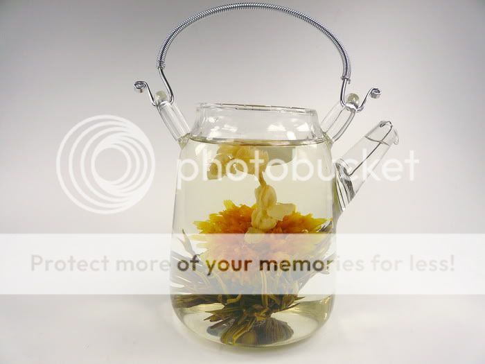 24 Blooming Flowering Flower Tea   