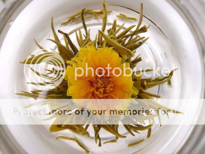 24 Blooming Flowering Flower Tea   