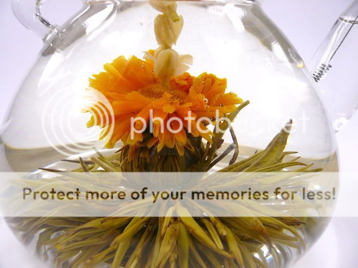 120 Blooming Flowering Flower Tea    Set A  