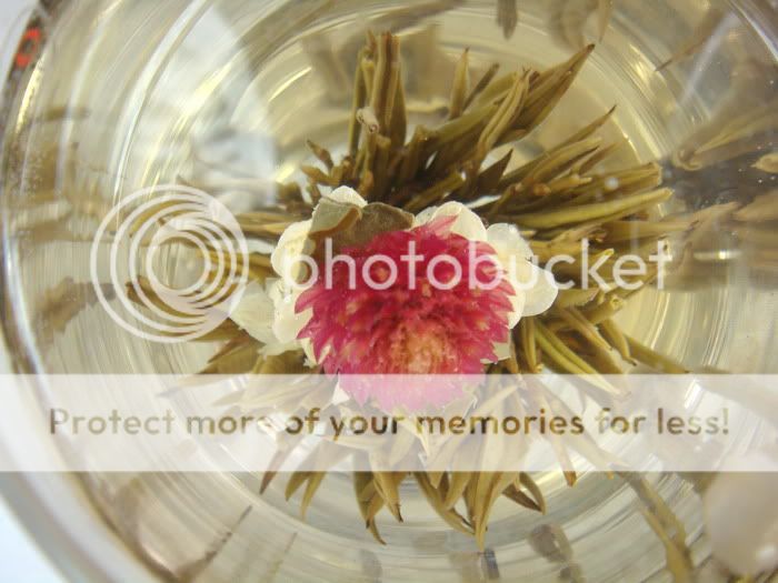 10 Blooming Flowering Flower Green Tea － Without You  